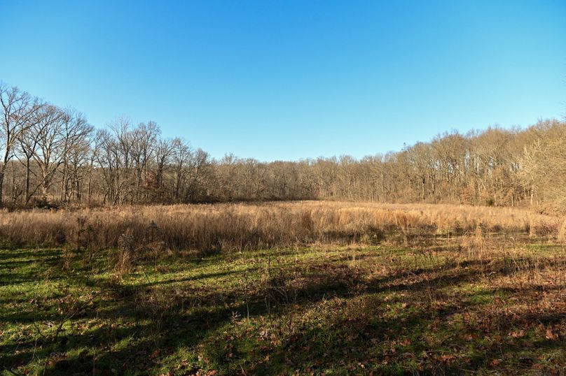 vandalia 450 (2)-687