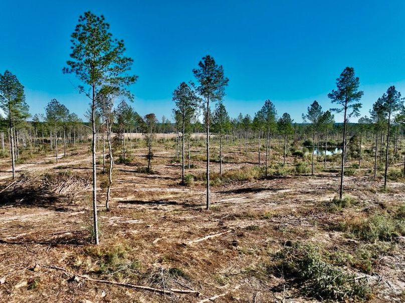 ECDB214E-225D-4C3D-BDD1-BB8E931B94DD_1_201_a