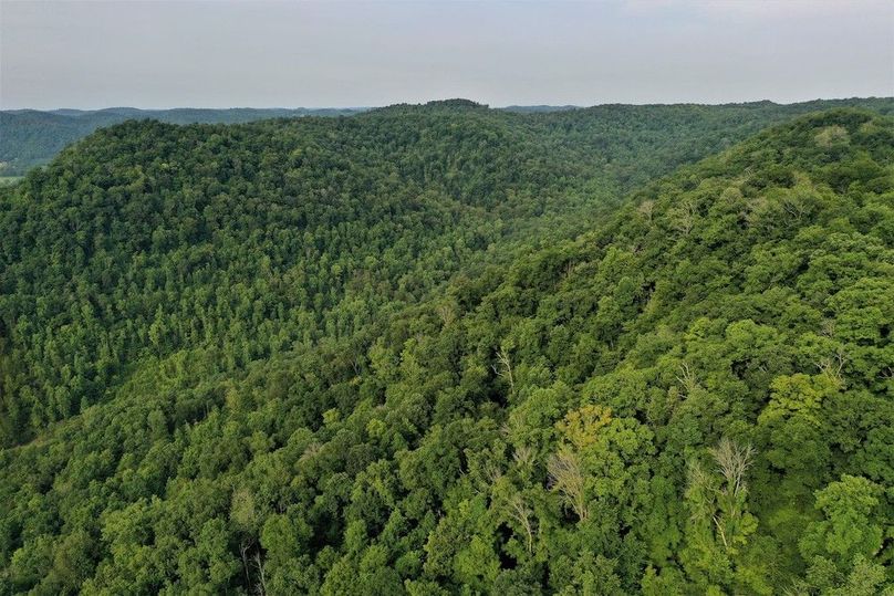 020 aerial drone shot looking west up the west valley