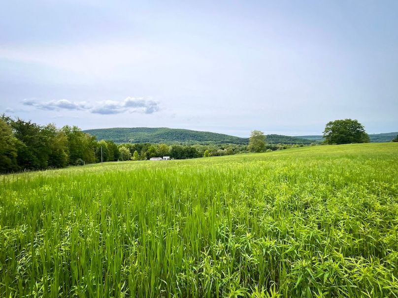 Tioga_31.4_Kemp_Photos_23