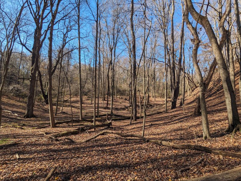 PXL_20231103_152840351