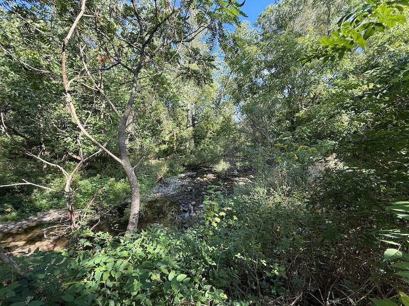 Cayuga_5.7_Cotten Photo 6