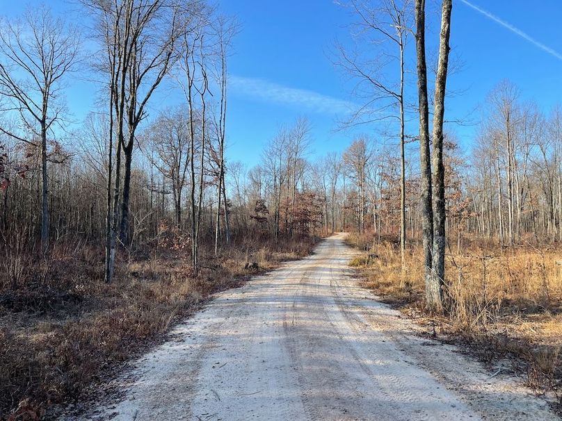 ClarK 160 WILLIAMS -17