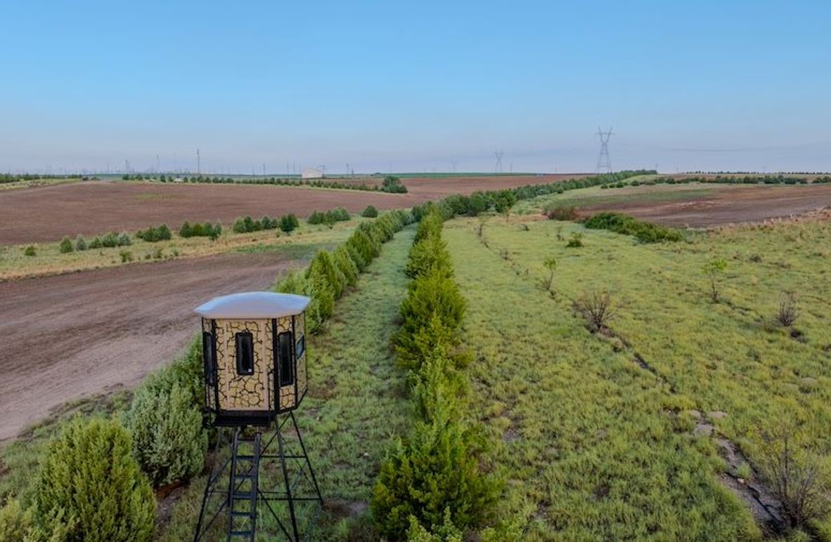 DJI_20250712062458_0232_D-HDR