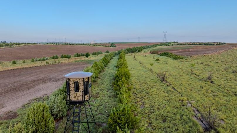 DJI_20250712062458_0232_D-HDR