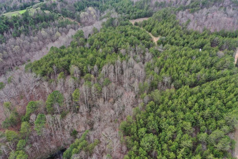 014 aerial drone shot from the south boundary looking north