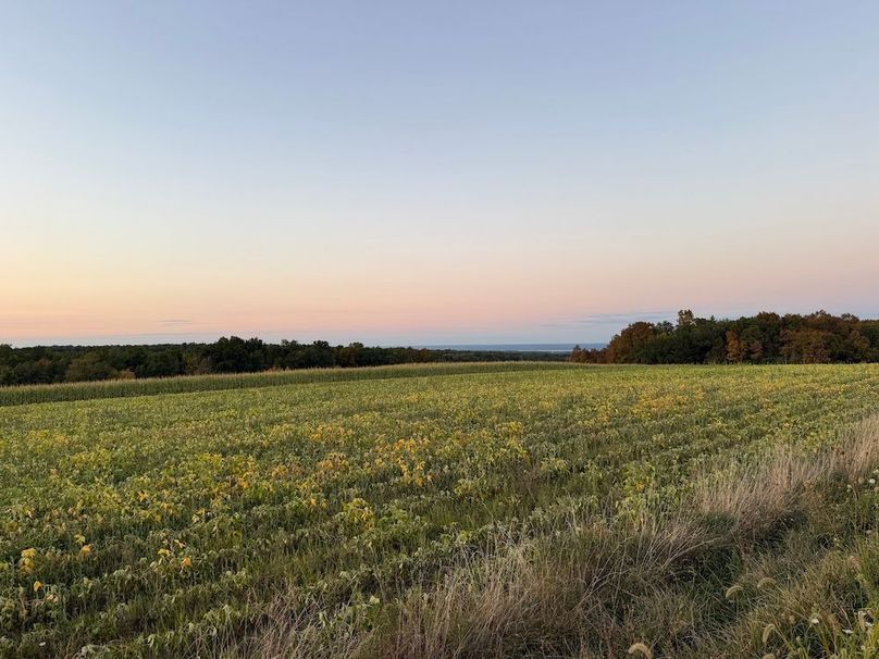 Copy of Wood Tract 1 Photo 3