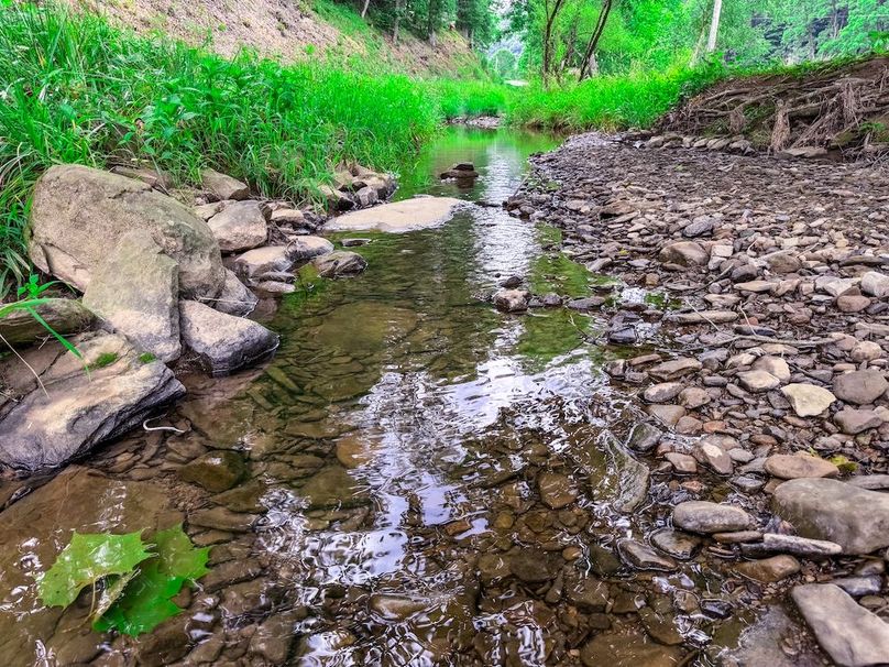 Doddridge, WV 15.68 AC Bonnett-59