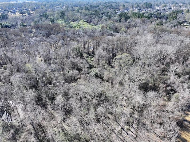 dji_fly_20260127_125846_0990_1769549080890_photo