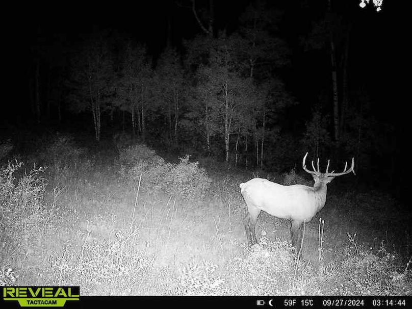 Copy of 864049052055672-30-4-09272024031444-HD-W1001255 (1)