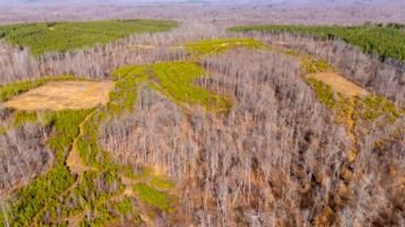 MCKINNON TRACT 15-17