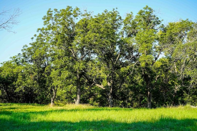 Bell 33.24 Updated Photos 8-8-25-66