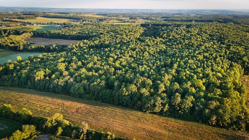 Copy of Wood Main Listing Photo 13