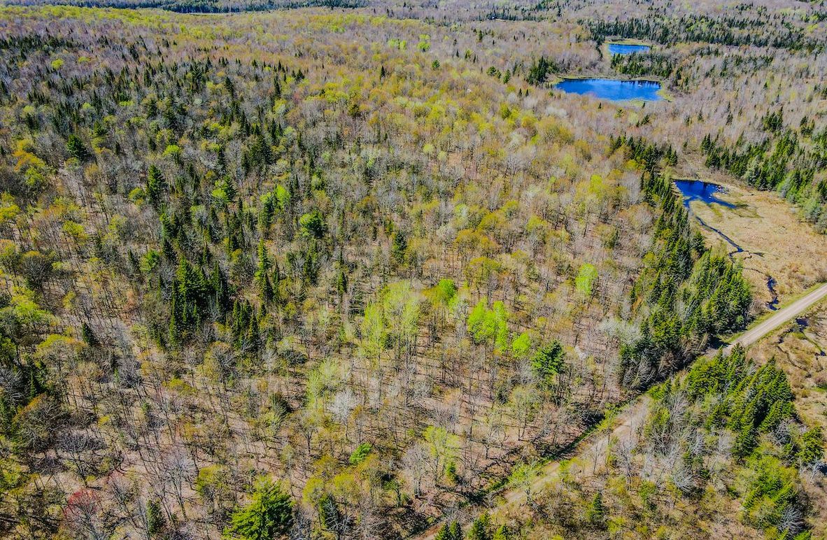 Franklin County NY 103 Bigtooth Properties Drone Picture 3