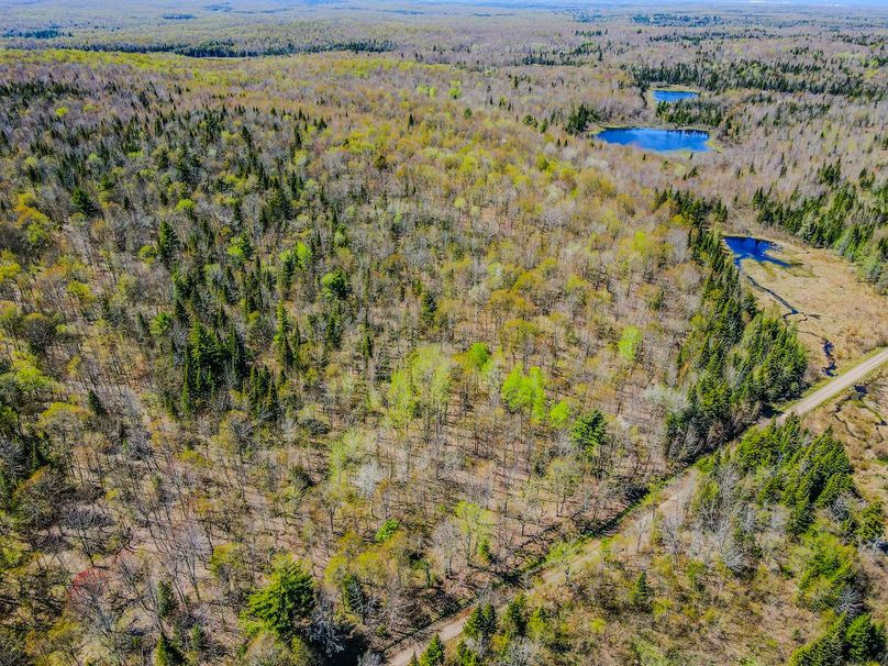 Franklin County NY 103 Bigtooth Properties Drone Picture 3