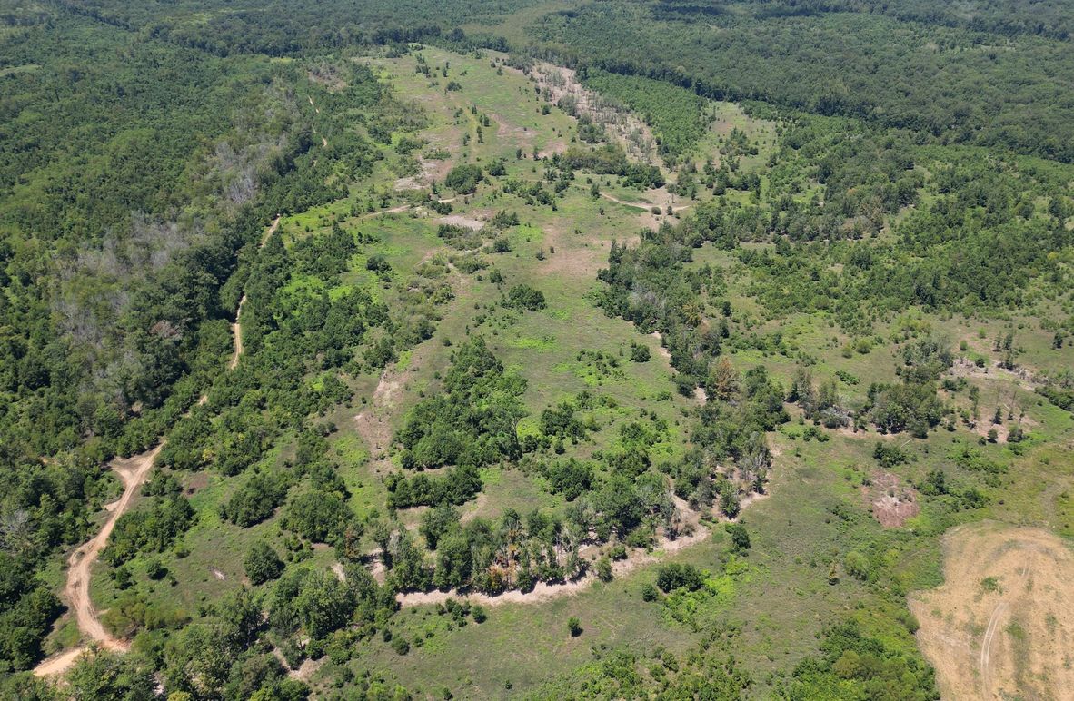 New Main Pic 149 Clarke