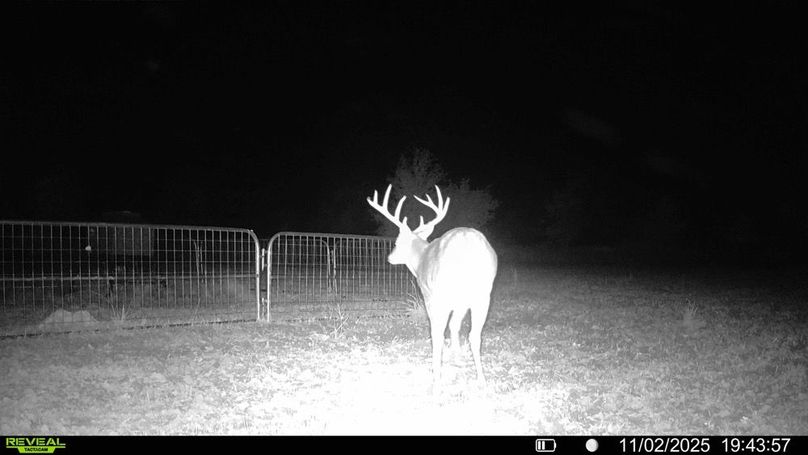 016579000474077-30-3-11022025202216-HD-SYFW00462