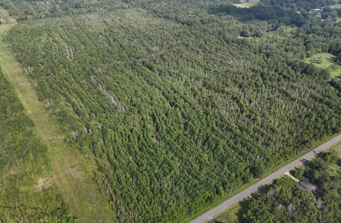 DJI_20250802224217_0564_D