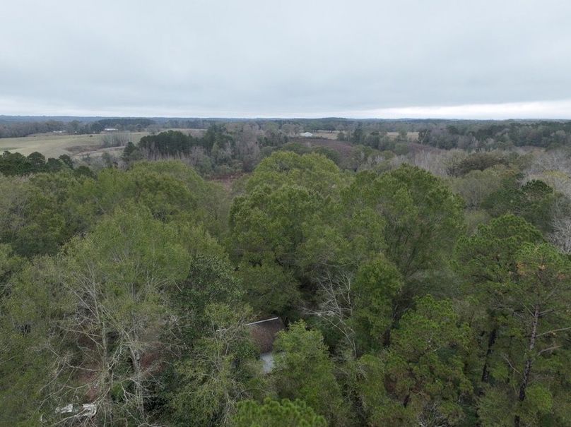 60A850DA-8E52-4498-B12E-FF31F4D8DCAE_1_105_c-2