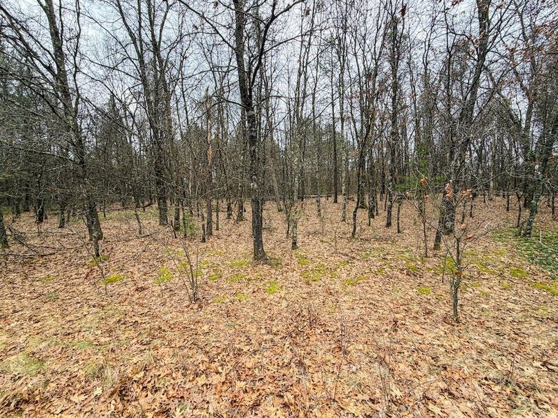 Juneau 1.53 Northgate-6