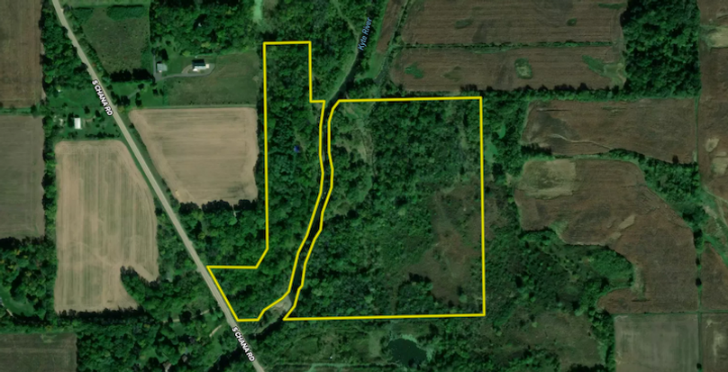 Screenshot 2024-06-27 at 4.29.44 PM