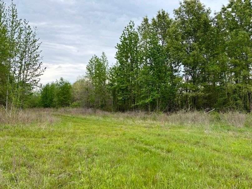 78057E8A-AF0C-4B19-AD4C-4D4219F2A7A5_1_105_c