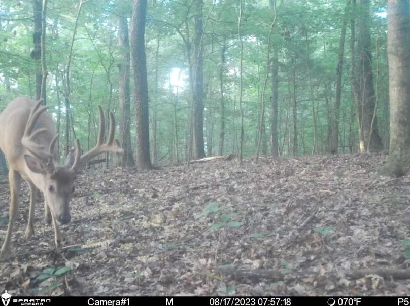 4BCC2810-454E-499F-85B7-DE3E4D0CF561