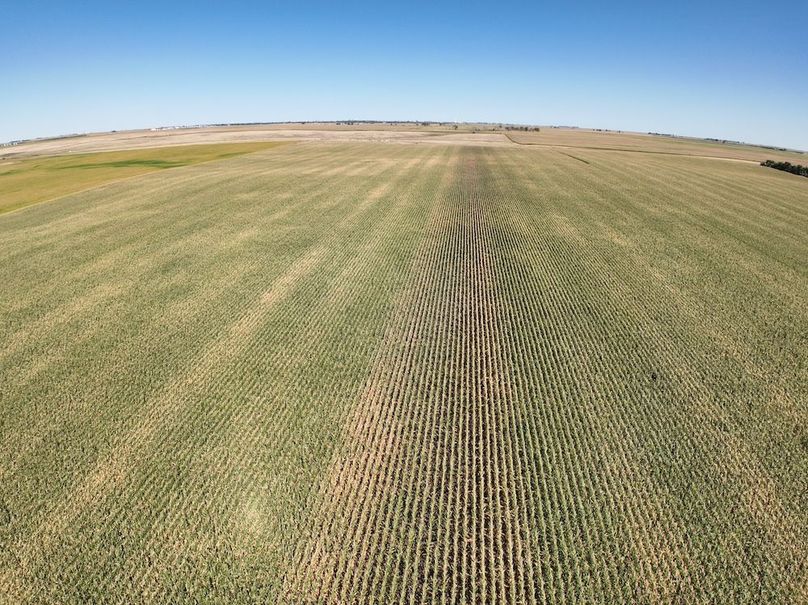 Copy of Tract 3 DJI_0596