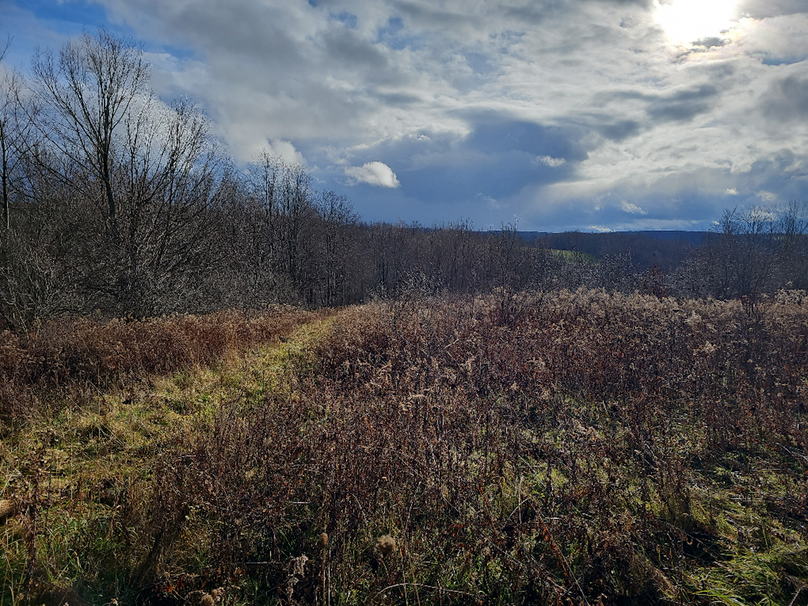 photo_8b706536-f0d6-4e3a-a133-5fd362630cf9