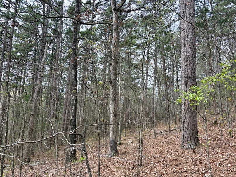 4265476B-7A38-43D9-BEDF-7A0F99D25685_1_201_a