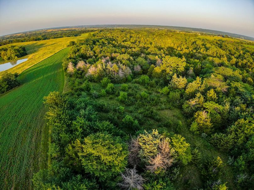 DJI_20250723200519_0405_D