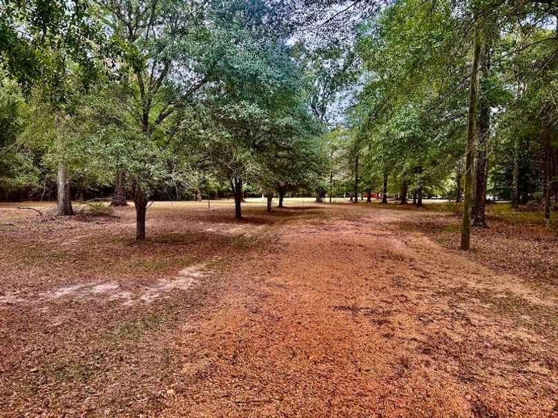 EBB50FFB-CD29-4A9C-B3BB-F3E9B14483F2_1_201_a