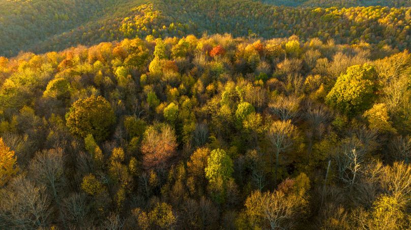 Elk PA 7000 Feature_Pro Photo-176