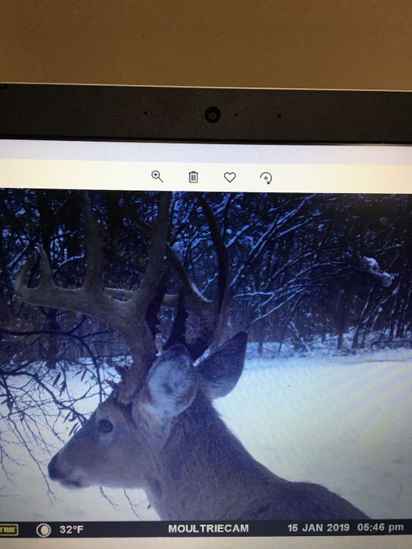 57189234352__6D3755B9-06B2-47E9-9902-A681AF1E569C