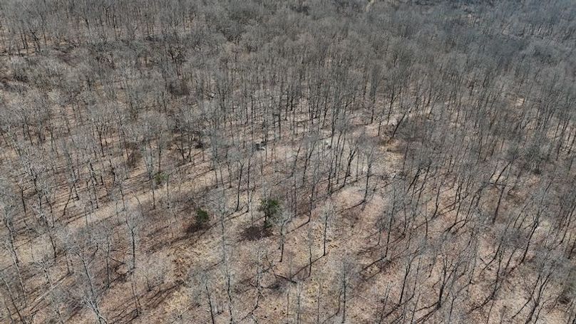 stone8020260307_0064