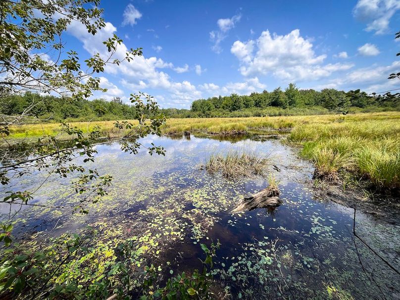 Oswego_100_Roof_Photos_20