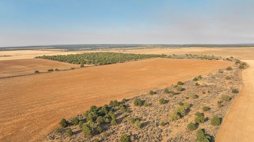 DJI_0597_1