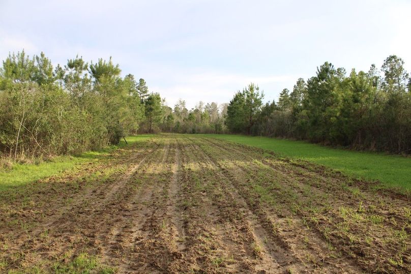 20FE6E24-F0C3-4CA2-B9F5-405C01B160EE_1_105_c