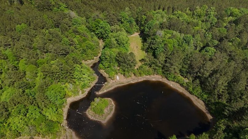 DJI_20260417163817_0010_D