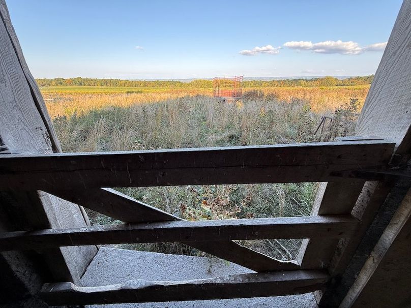 Copy of Wood Tract 2 Photo 19