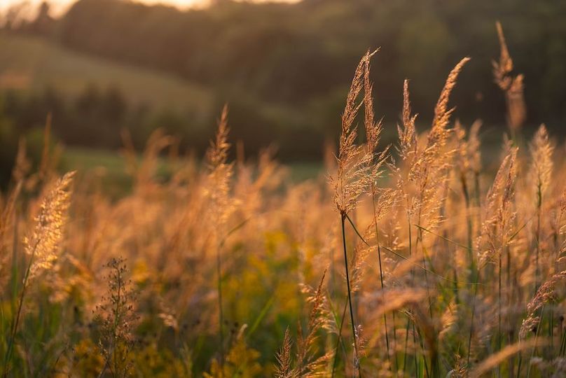 Cedar IA 152 Featured Z26