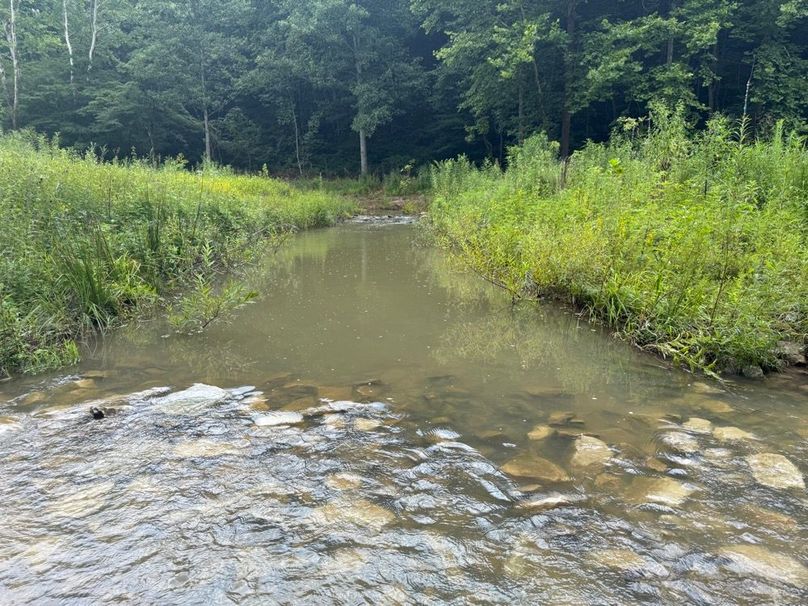 036 the main stream at the entrance along the north boundary
