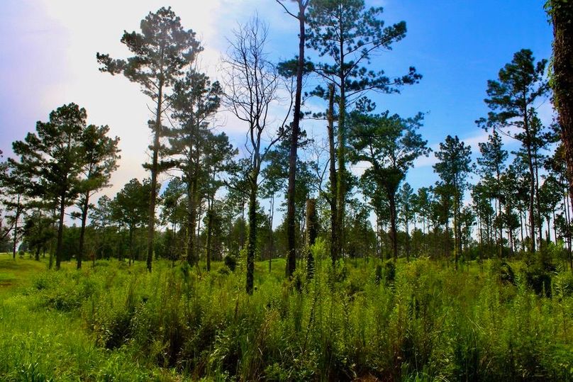 D483AC56-A750-421E-9100-60EE024AA41D_1_105_c