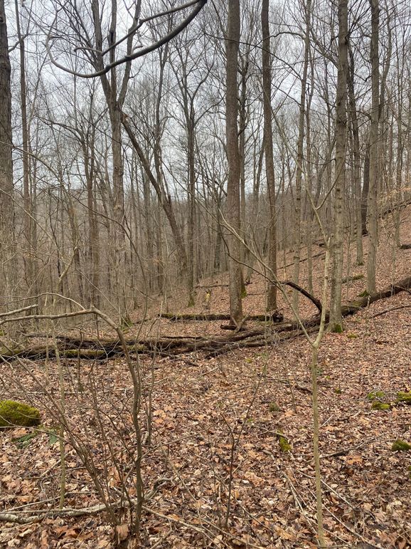 Greenup Ky Mauk 46.15 10