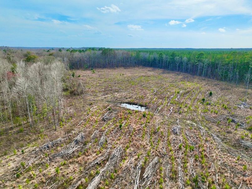 7DE6BD04-57D3-4EA0-9900-1A360D14B0F6_1_201_a