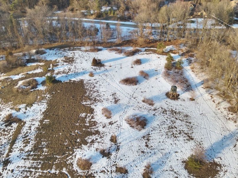 20 3rd field food plot