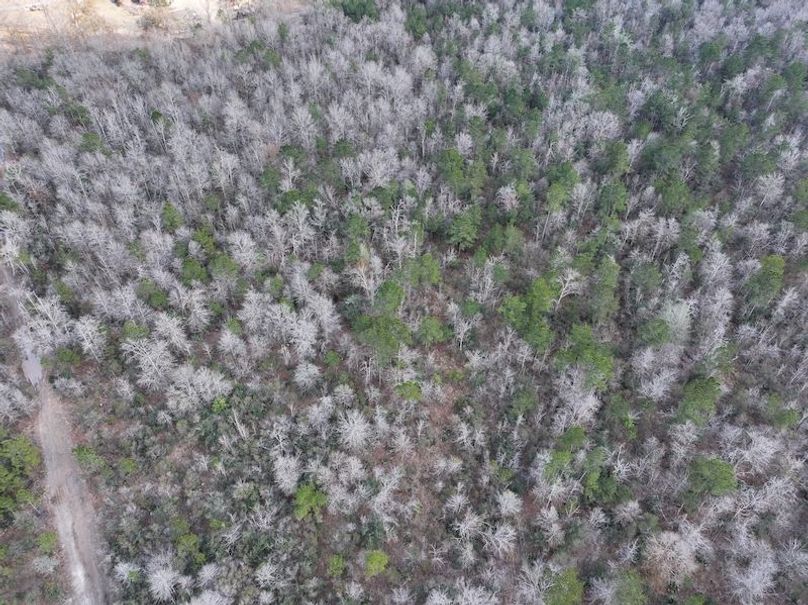 dji_fly_20260212_140232_0050_1771284245334_photo