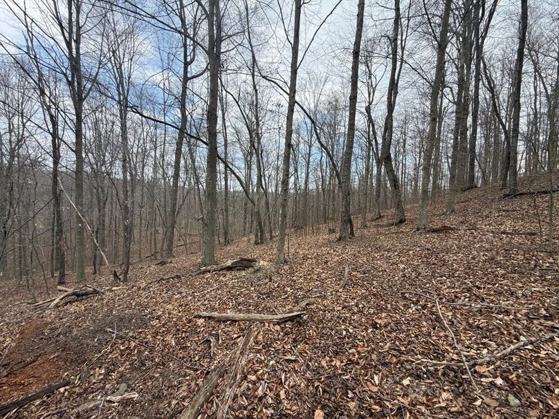 022 northwest facing slope above the creek