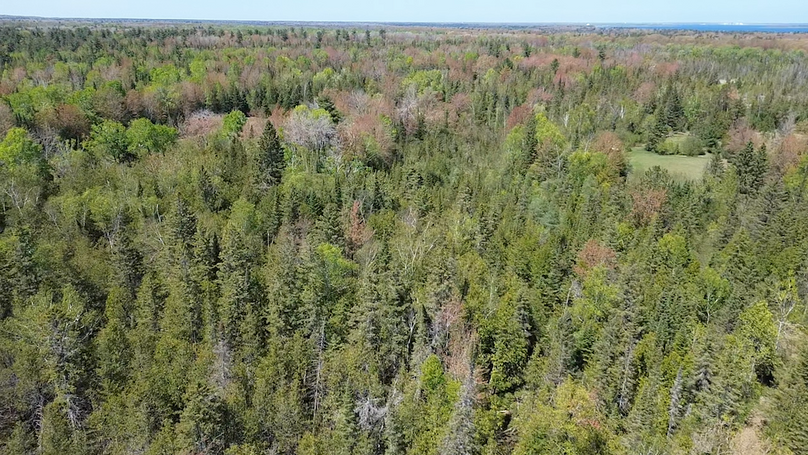 2024-05-15-14-27-58-817