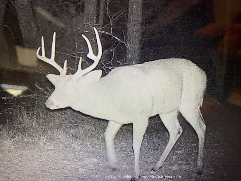 Hinds - 25.48 - Hank Beasley-24